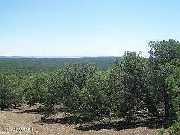 2nd image of 133 Juniper Wood