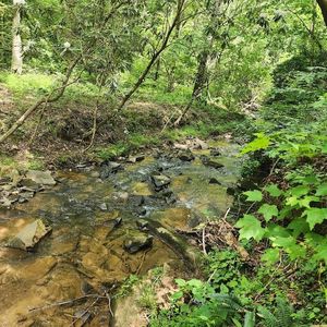 0 Woodstone Trl #210, Ellijay, GA, 30540