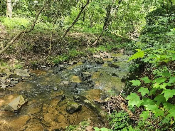 0 Woodstone Trl #210, Ellijay, GA 30540