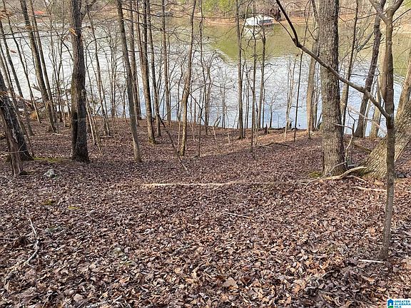 4th image of Mohawk Cliff Rd #5