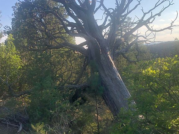 4th image of 61 Trail Canyon Rd