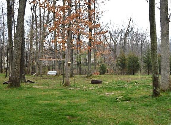 Gorgeous views, trees, wildlife and fun!