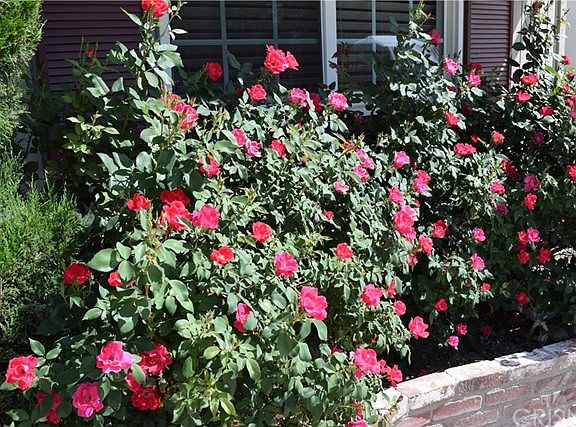 4th image of 23855 Gilmore St