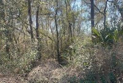 111 Hickory Circle, Interlachen, FL, 32148