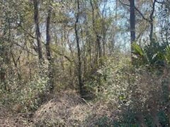 111 Hickory Circle, Interlachen, FL 32148