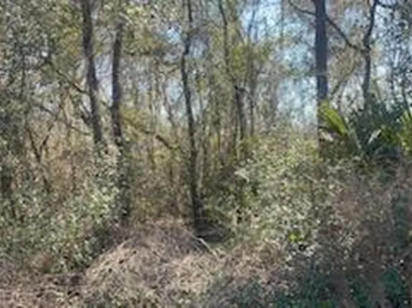 111 Hickory Circle, Interlachen, FL 32148