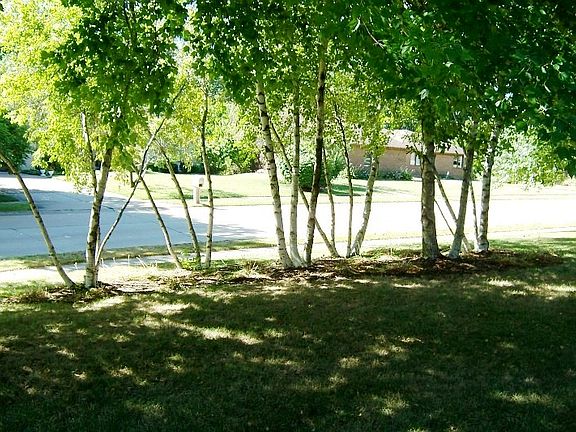 3rd image of 4460 Woodfield Dr