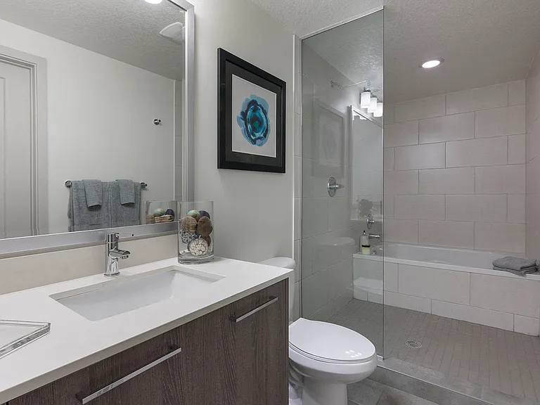 Open-Concept Glass Shower and Spa Bathtub create a Relaxing Bathroom.