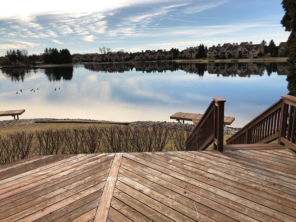 Backyard view
