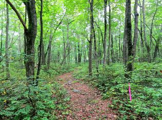 227B Butternut Rd #227B, Jim Thorpe, PA 18229