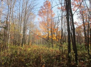 0 Fenander Rd, Sarona, WI 54870