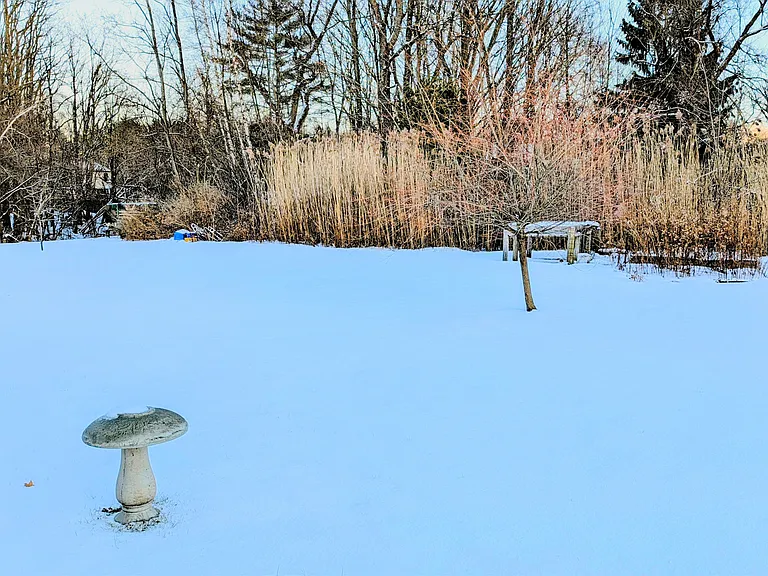 50 Old Stage Rd — Photo 14