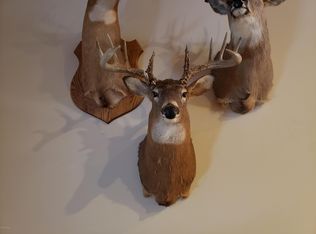 6381 E Walker Rd, Merritt, MI 49667