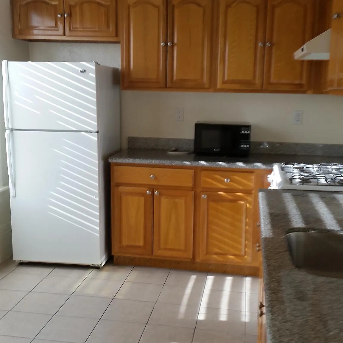 Studio, 439 sqft, $1,490 — Photo 2