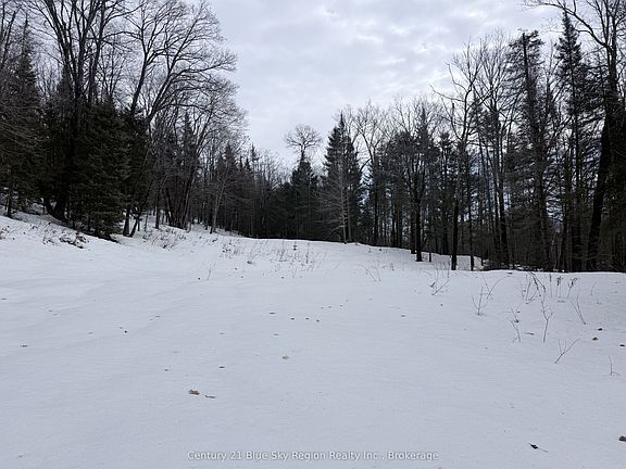 4th image of 750 Feronia Rd