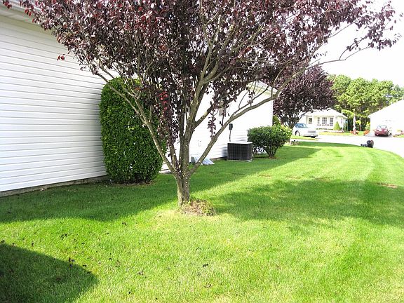 Side yard