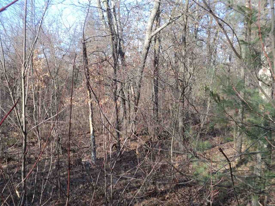 2nd image of 0 Lupine Ln