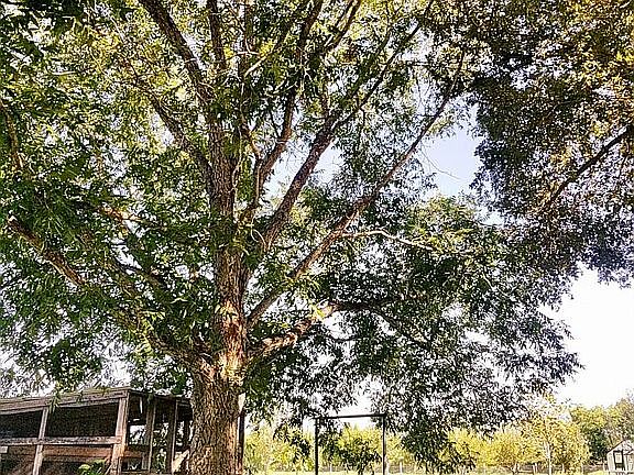 4th image of 10018 NW Lakeshore Ave