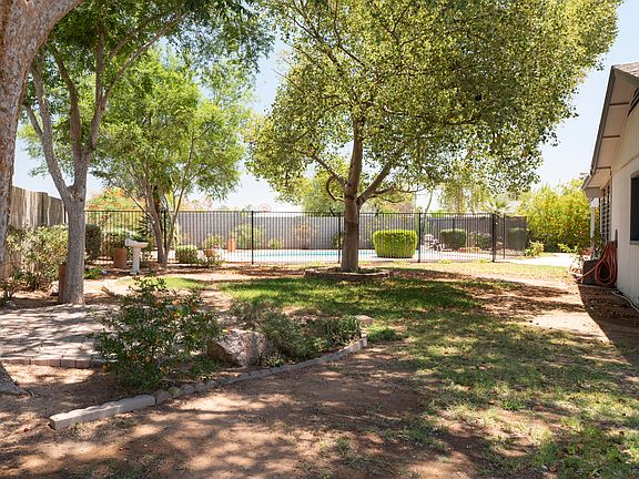 Beautiful Backyard