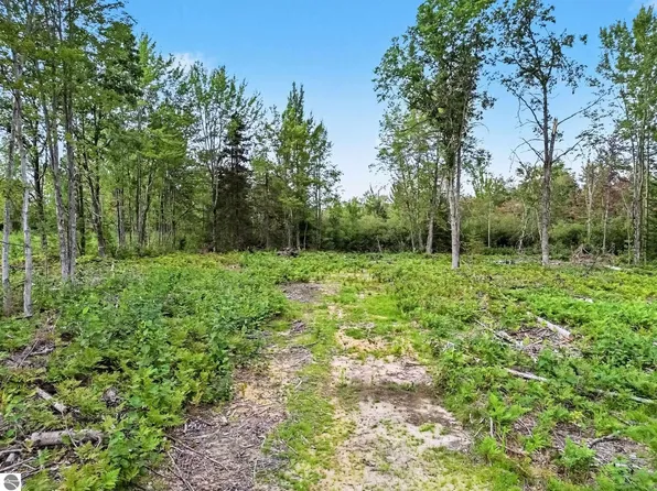 4457 E West Branch Rd, Prudenville, MI 48651