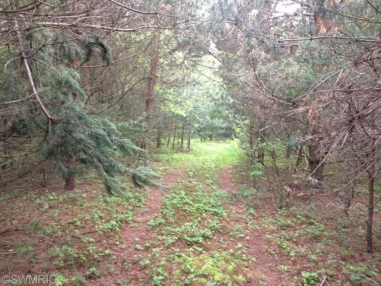 S Hogenson Rd photo 1