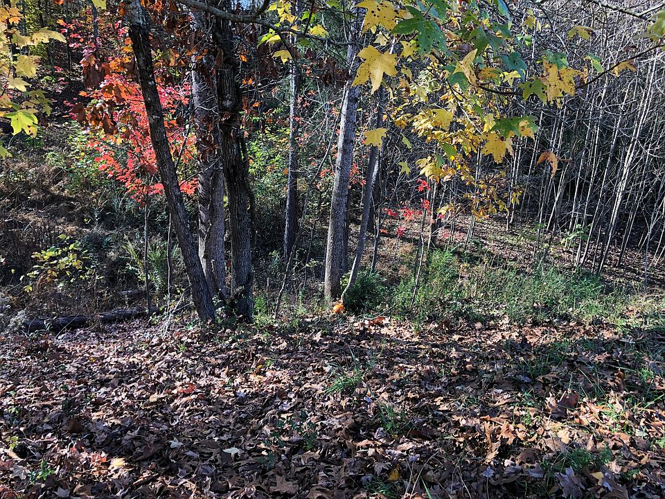 1st image of Woodhurst Dr