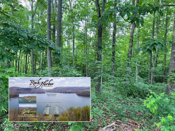 240 Tanzanite Trl, New Tazewell, TN 37825