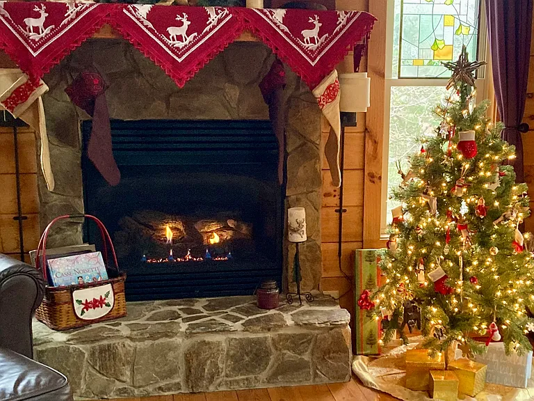 Gas fireplace.