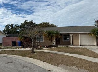 11204 Millridge Dr, Tampa, FL 33625