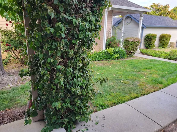 6345 Potrero Dr, Newark, CA 94560