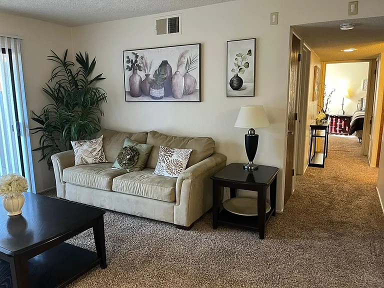 Sunflorin Village Apartments — Photo 7
