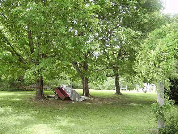 4th image of 811 Due West Cir