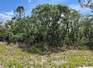 100 Christine St NW, Lake Placid, FL 33852