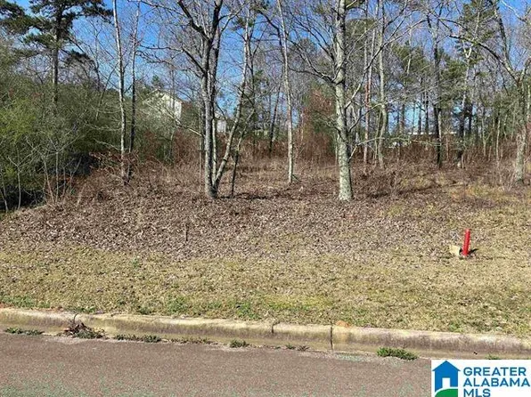 1 Summit Ridge Way #60, Odenville, AL 35120