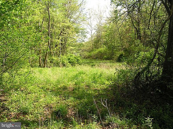 5th image of 1774 Wardensville Grn