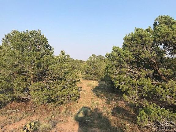 5th image of 73 Colorado Land And Grazing