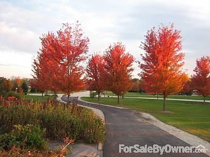 Front view/Driveway
