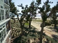 1st image of 1100 W Beach Blvd #306