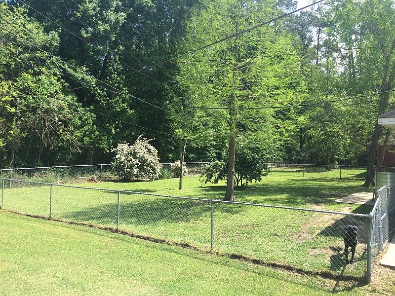 2nd image of 1202 Belfast Dr