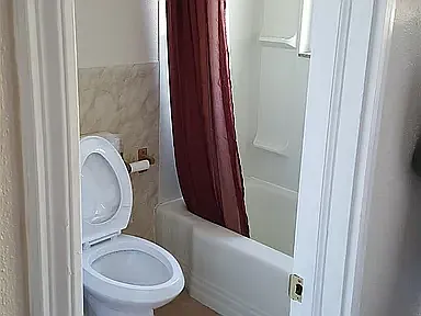 1 bed, 375 sqft, $1,000 — Photo 3