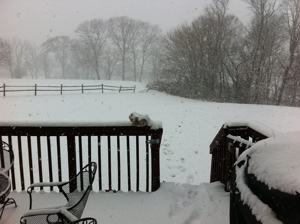 2nd image of 45 Pinehurst Ct