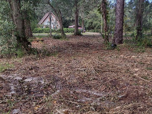 2nd image of 1629 Caroline Dr