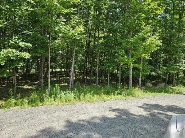 Lots 5 6 Barnard St, Bloomingdale, NY 12913