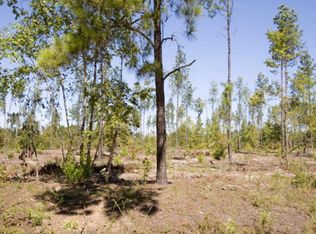 29 Pollett Rd TRACT 29, Bartow, GA 30413