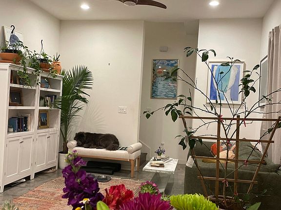 Downstairs, current couch