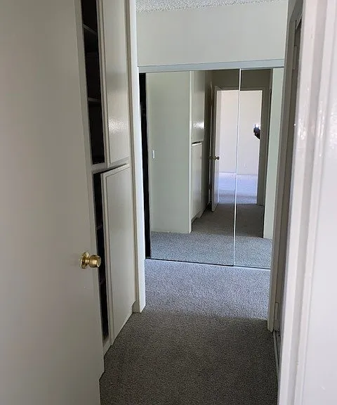 Park Plaza Apartments — Photo 6
