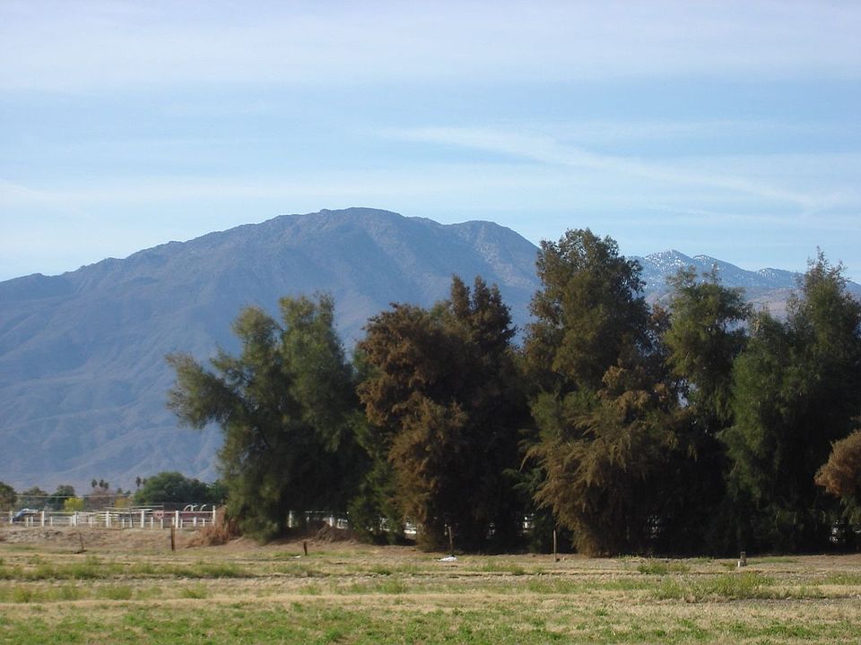 Southern views