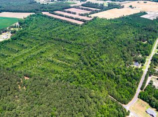 31 Dodge Ln, Wallace, NC 28466