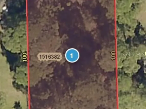 Alleycat Rd Lot 8, Astor, FL 32102