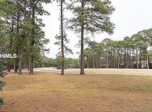 3rd image of 52 Saw Timber Dr